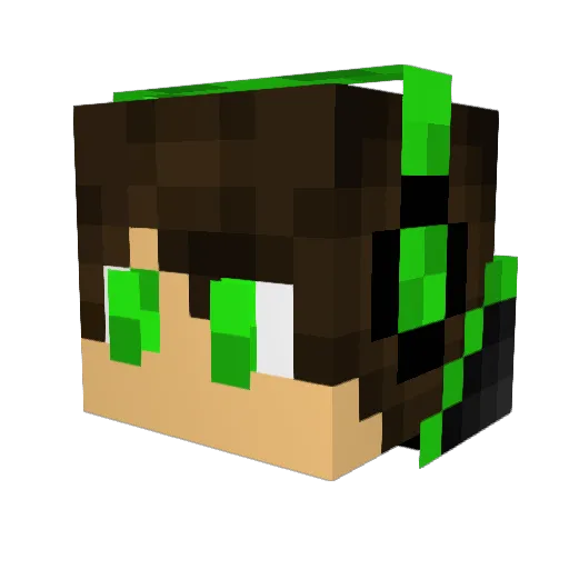 NE_Catalin11 Minecraft avatar head, 3D render