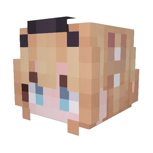 NEing Minecraft avatar head, 3D render