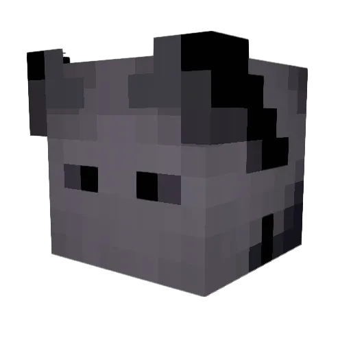 NEverBOi Minecraft avatar head, 3D render