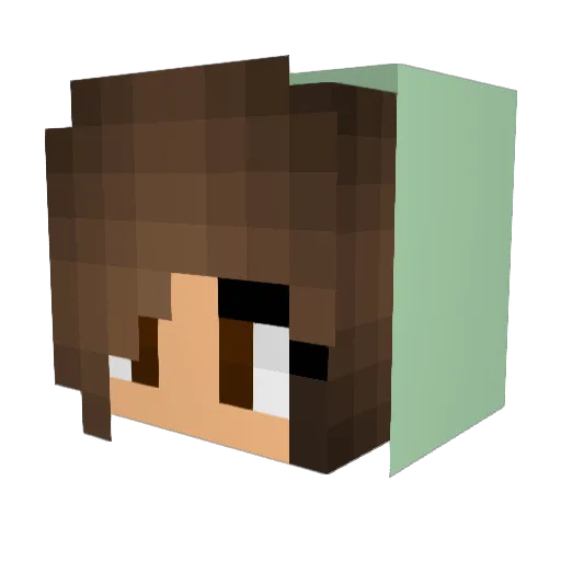 NF2013 Minecraft avatar head, 3D render