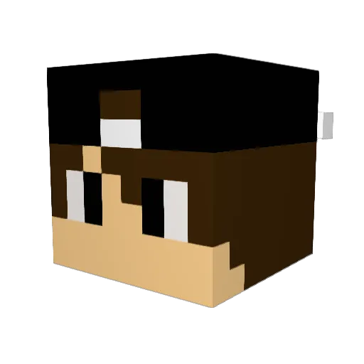 NFG53 Minecraft avatar head, 3D render