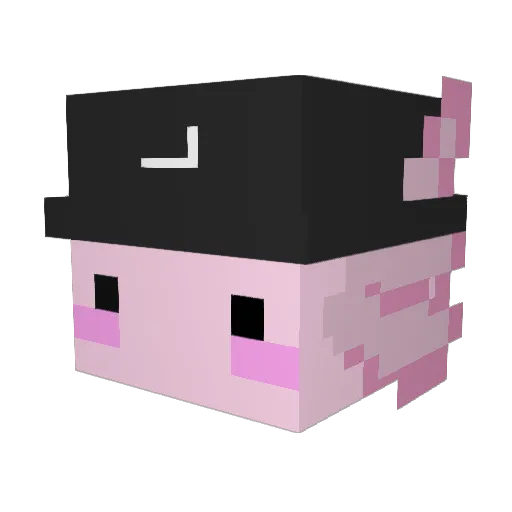 NGU_Rickasou Minecraft avatar head, 3D render