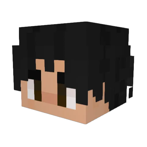 NGUshowma Minecraft avatar head, 3D render