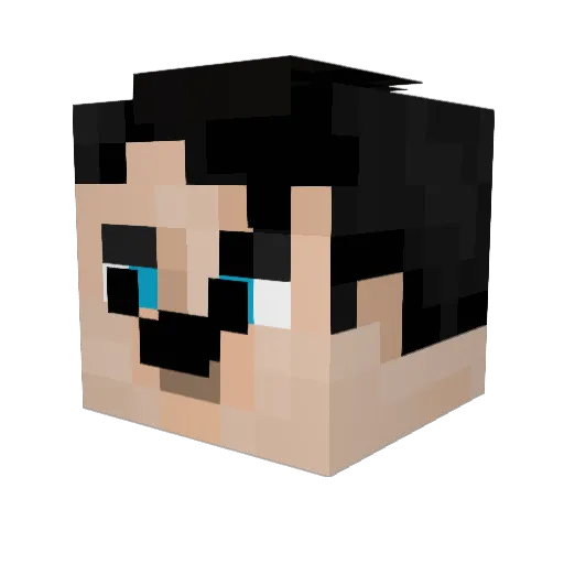 NHG9 Minecraft avatar head, 3D render