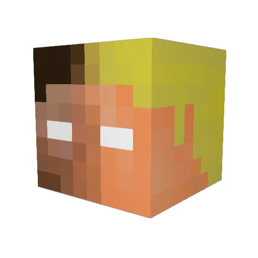 NHLFAN14 Minecraft avatar head, 3D render