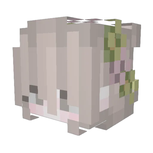 NHLegendary Minecraft avatar head, 3D render