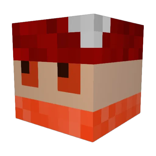 NHSupply Minecraft avatar head, 3D render