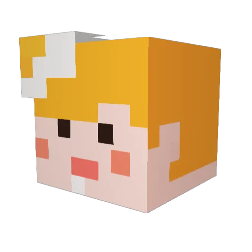 NI2YE Minecraft avatar head, 3D render
