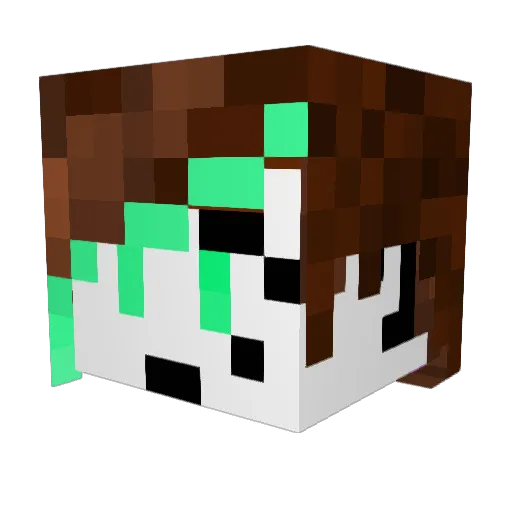 NIBV9 Minecraft avatar head, 3D render