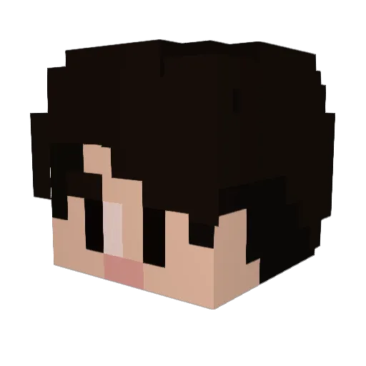 NICENJOY Minecraft avatar head, 3D render