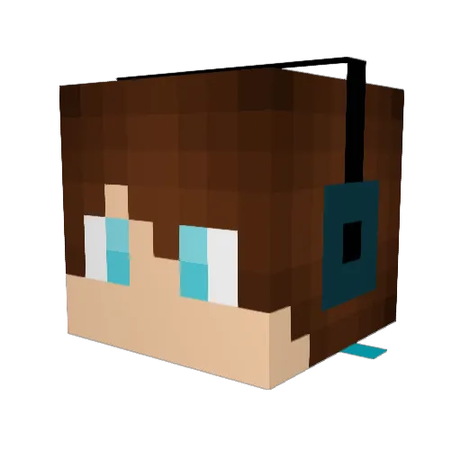 NICKLEE Minecraft avatar head, 3D render