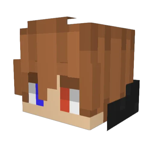 NICKOU_ Minecraft avatar head, 3D render