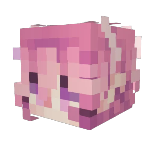 NICKY67_ Minecraft avatar head, 3D render