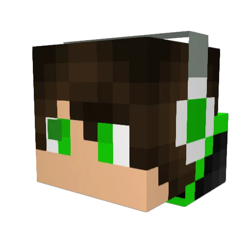 NICOUNDFELIX Minecraft avatar head, 3D render