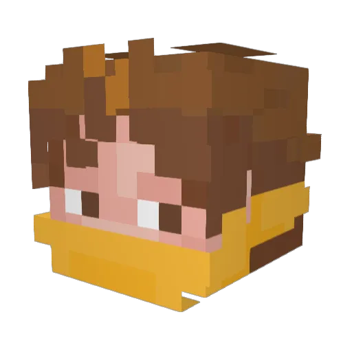 NIEMVND Minecraft avatar head, 3D render