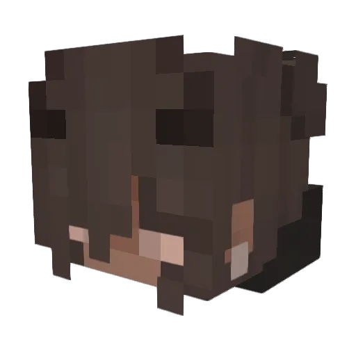 NIENKEGESQ Minecraft avatar head, 3D render