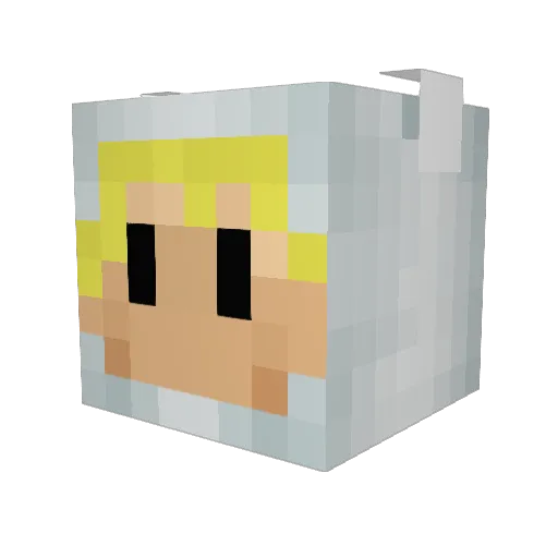 NIENplay Minecraft avatar head, 3D render