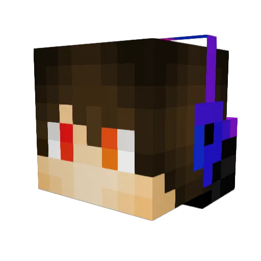 NIGGO1234 Minecraft avatar head, 3D render