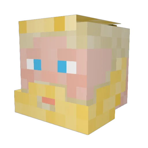 NIGGO1998 Minecraft avatar head, 3D render