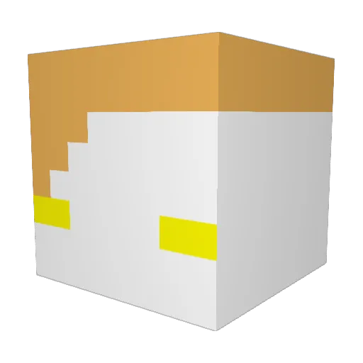 NIGHTWITCH001 Minecraft avatar head, 3D render
