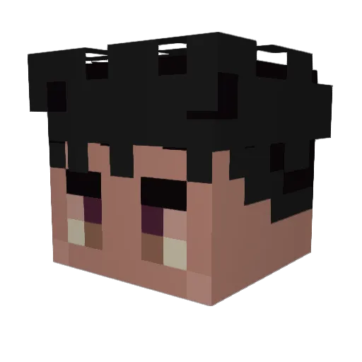 NIGO0 Minecraft avatar head, 3D render