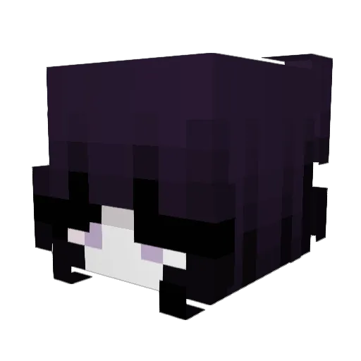 NIKEURDEMERE Minecraft avatar head, 3D render