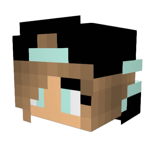 NIKIBEAST Minecraft avatar head, 3D render