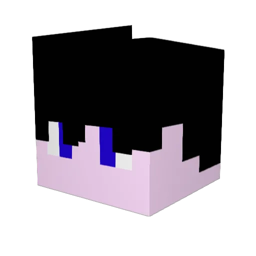 NINJA79790 Minecraft avatar head, 3D render