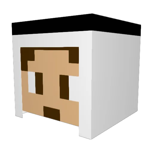 NINJALARAB13 Minecraft avatar head, 3D render