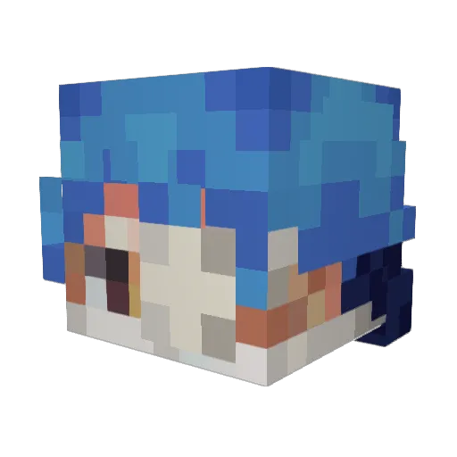 NINJAPRINCE Minecraft avatar head, 3D render