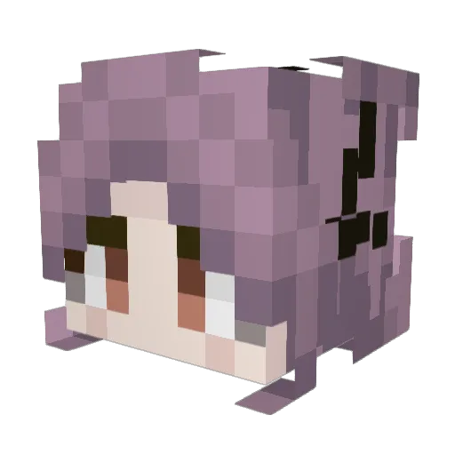 NINJIAAMEII Minecraft avatar head, 3D render