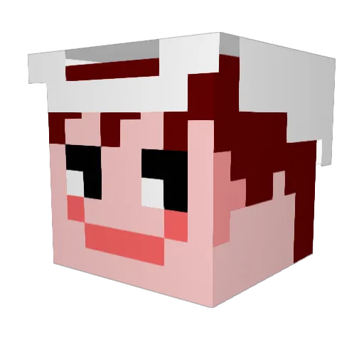 NINJIN5656 Minecraft avatar head, 3D render