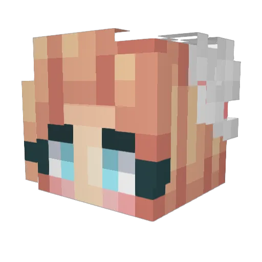 NINPOSTUDENT Minecraft avatar head, 3D render