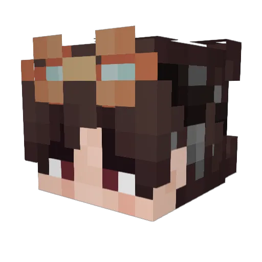 NIRRRE Minecraft avatar head, 3D render