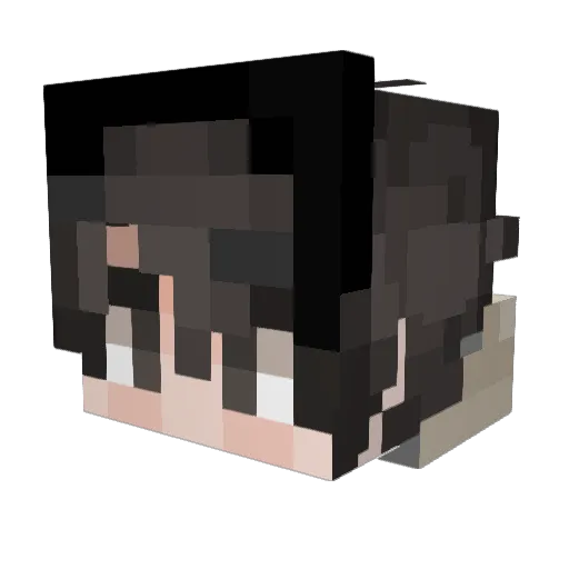 NISC91 Minecraft avatar head, 3D render