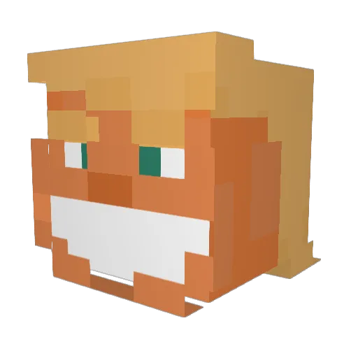NISSW Minecraft avatar head, 3D render