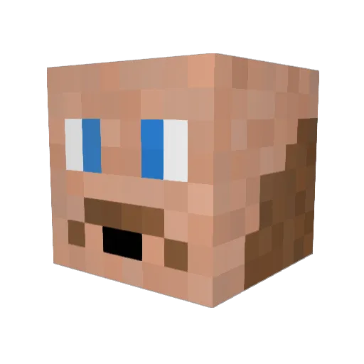 NIT3N Minecraft avatar head, 3D render