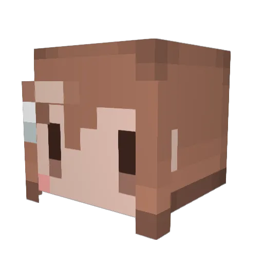 NIXOL29 Minecraft avatar head, 3D render