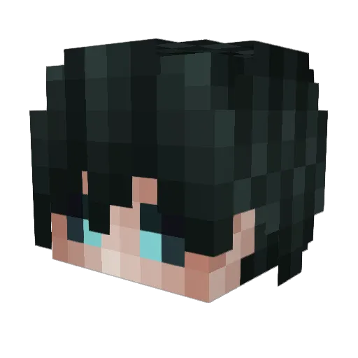 NIXS1998 Minecraft avatar head, 3D render