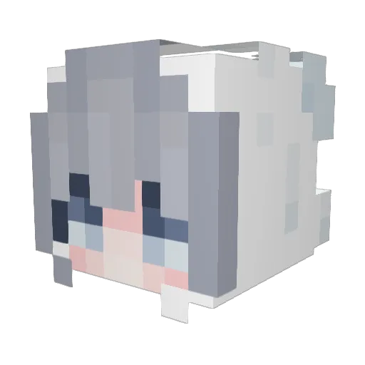 NI_ro_07 Minecraft avatar head, 3D render