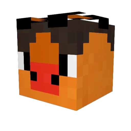 NJDuda Minecraft avatar head, 3D render