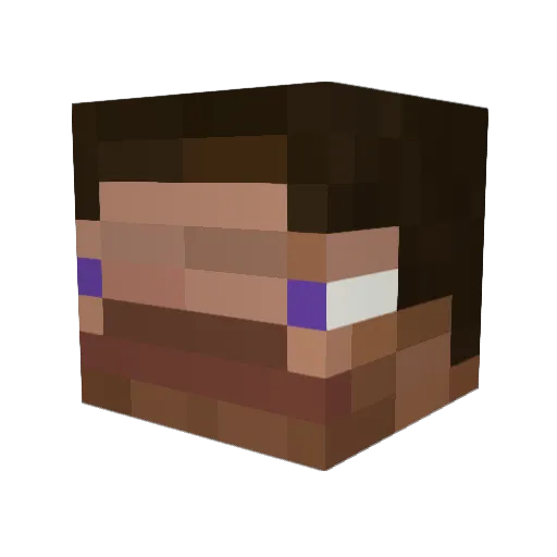 NJSDLZX Minecraft avatar head, 3D render