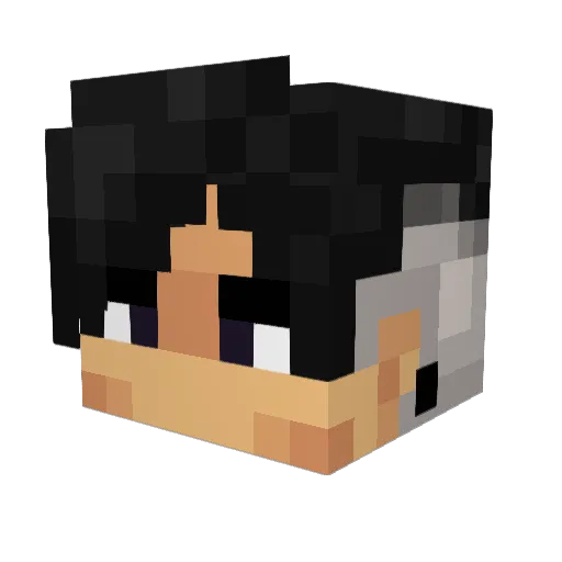 NK4Ai_ Minecraft avatar head, 3D render