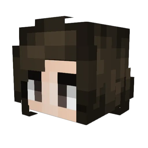 NK53 Minecraft avatar head, 3D render