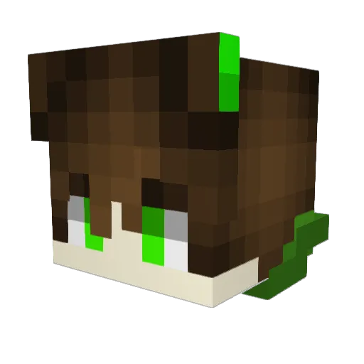 NKALPA Minecraft avatar head, 3D render