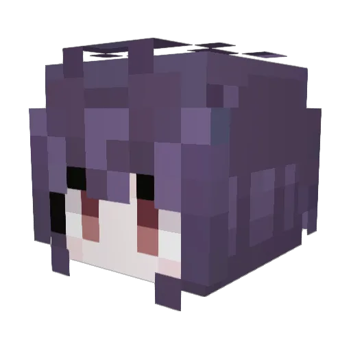 NKN123 Minecraft avatar head, 3D render
