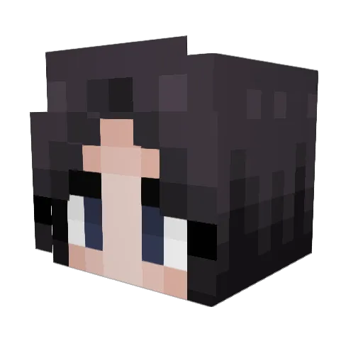 NLC44 Minecraft avatar head, 3D render