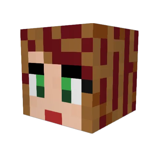 NLG5855 Minecraft avatar head, 3D render