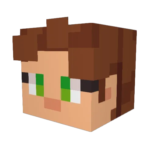 NLGTommy Minecraft avatar head, 3D render