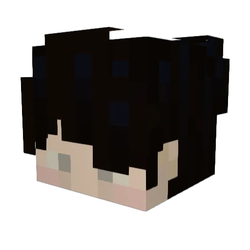 NL_Sekito Minecraft avatar head, 3D render